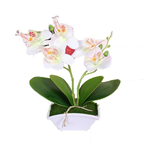 YPYOYG Flores Artificiales Flor Artificial + Vas Butterfly Orchid Flower Tacto Real Touch Deja Plantas Artificiales En General Floral for Bodas Jarrón Día de San Valentín Room Decoration Aesthetic Cover