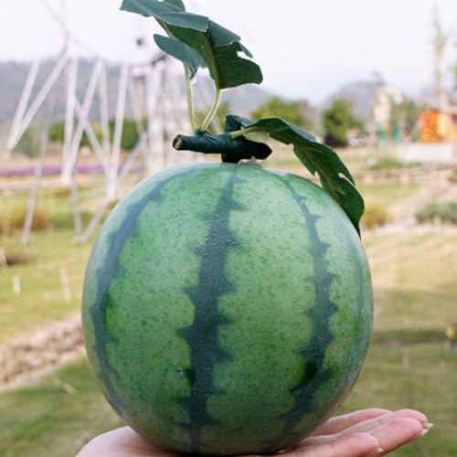 HOMSFOU Simulation Watermelon Model Lifelike Foam Watermelon Realistic Watermelon Props Fake Fruits Photo Props for Summer Fruits Party Favors Decoration