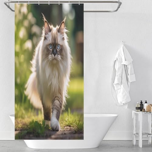 Rideau de douche chat en polyester lavable haute qualité avec 12 crochets - 2