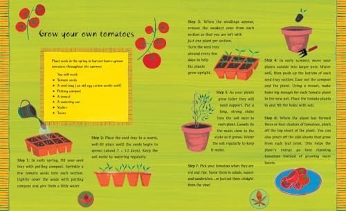 The Barefoot Book of Earth Tales – vue 5