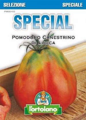 Sementi di ortaggi ibride e selezioni speciali ad uso amatoriale in buste termosaldate (80 varietà) (POMODORO CANESTRINO DI LUCCA)