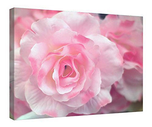 Impression sur toile rose avec cadre bois 40x50 cm pour décoration