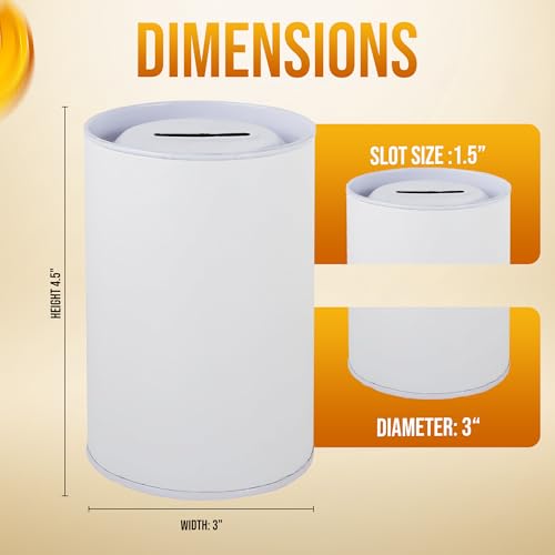 Cajas para colección de monedas en tubo de cartón 4.5" 140 piezas miniatura 2
