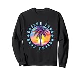 Tour de vacaciones por Grecia Colorido Sudadera