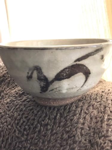 �������q ������