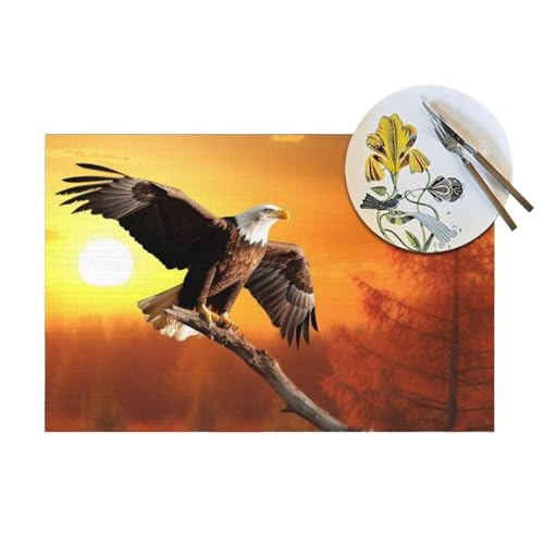 Set de table en vinyle coucher de soleil décoration cuisine chic