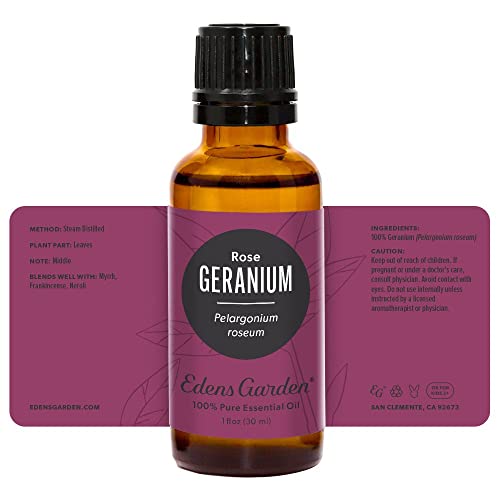 image for Edens Garden Geranium- Rose Essential Oil, 100% Pure Therapeutic Grade