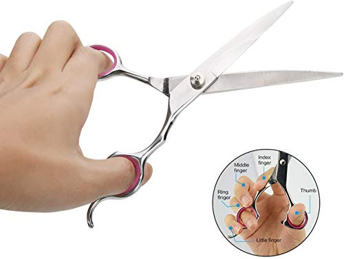 Accesorios De Cocina, Pet Products Imagen adicional