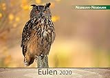  Eulen 2020