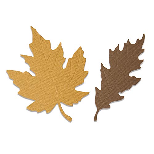 Xcut Fustelle Per Scrapbooking - Acciaio Temprato - Taglio E Goffratura Di Precisione - Compatibili Con La Maggior Parte Delle Macchine