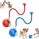 2PCS Tiny Fetch Interactive Dog Cat Toy Ball - 360° Automatic Scrolling with Birdsong, Smart Obstacle Avoidance, Rechargeable Boredom Buster for Pets (Blue+Red)