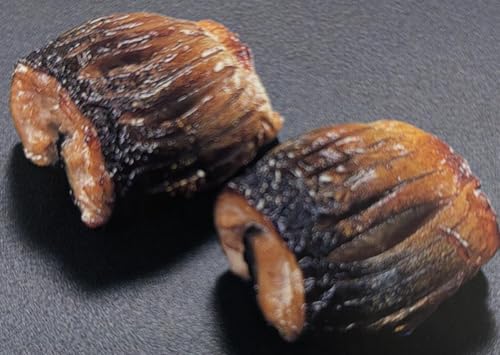 s ܗS 1P (35) y Ɩp Ⓚ