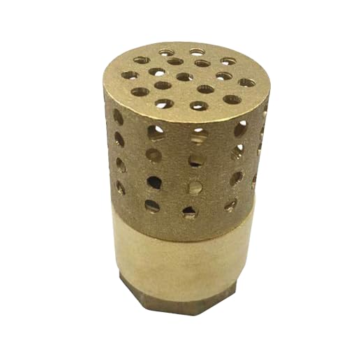 Brass Foot Valve Heavy Duty 1