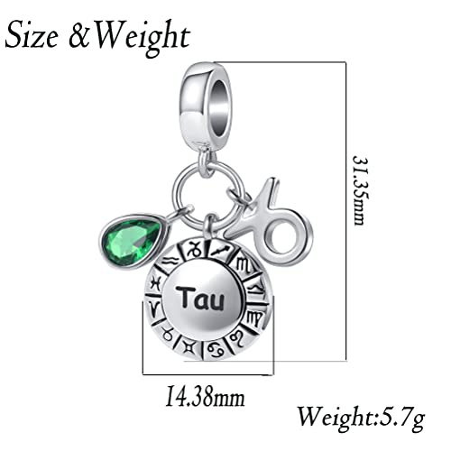 Zodiac 12 Constellation Charm Horoscope Sign Astrology Birthday Birthstone Charms For Pandora Charm Bracelets Necklac3