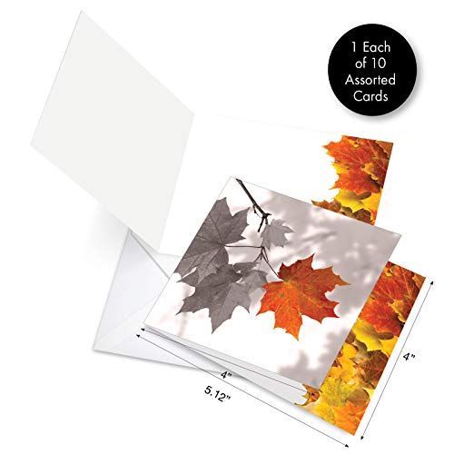 Image of The Best Card Company - 10 Beautiful Note Cards Blank (4 x 5.12 Inch) - Fall and Autumn Season, Boxed Notecard Assortment - Autumn Leaf MQ4629OCB-B1x10