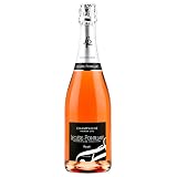 CHAMPAGNE POINTILLART ROSE`