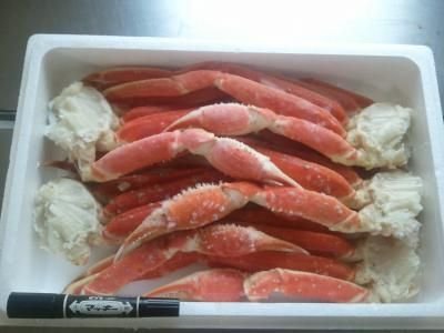 4Lɏ{CYCKj2L(4-5jg蔲QIyz/YCKj/YC/킢//I/J