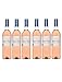 Produktbild Kleine Rust Pinotage Rosé Stellenbosch Roséwein südafrikanischer Wein trocken Südafrika (6 Flaschen)