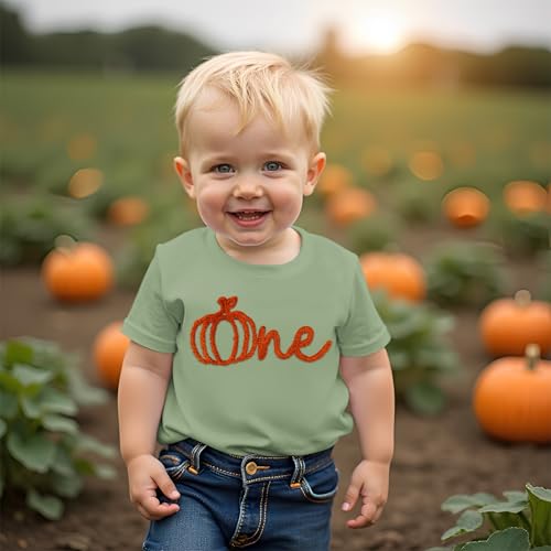 Baby Boys Girls Halloween Shirts One Pumpkin Patch Embroidery T-Shirt 1Year Kids Cute Pumpkin Graphic Tees Fall Tops2