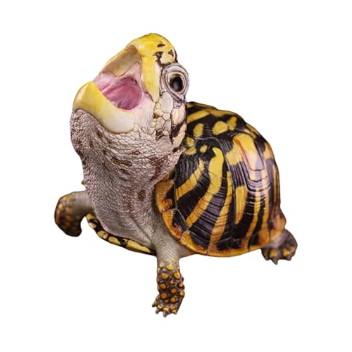 動物惑星 第25弾 アメリカハコガメ 6-8CM フロリダハコガメ ミツユビハコガメ 全8種類 樹脂 フィギュア シーン リアル プラモデル おもちゃ 模型 ミニチュア 誕生日プレゼント 贈り物 装飾用 撮影道具 置物 コレクション (ニシキハコガメ)