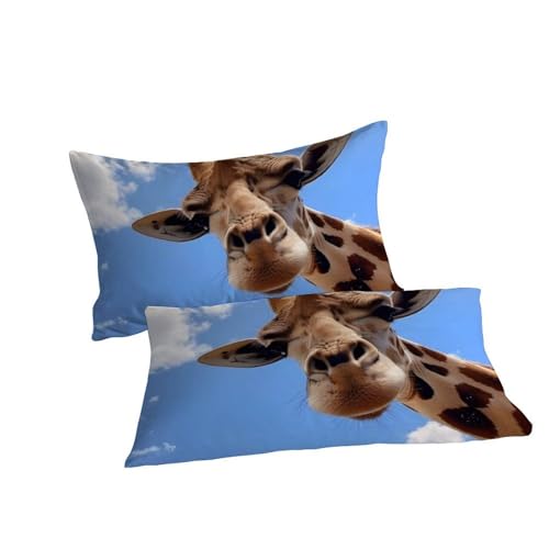 Housse de couette double girafe 200x200 en microfibre