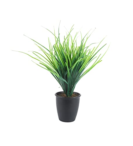 Image of Foliyaj Real Look Artificial Plant with Black Pot and Tall Green Grass for Interior Decor | Faux Plant for Desks, Shelves and Side Tables for Your Home and Office | Fake Plants for Indoor Decoration