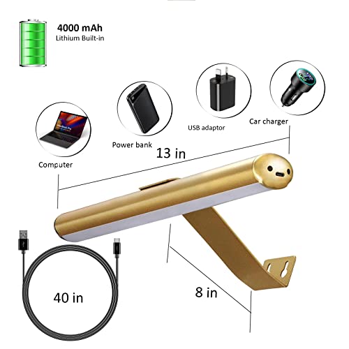 Mioblue Rechargeable Picture Lights With Remote,Full Metal Painting Light Display Led Battery Lamp With 3 Lighting Modes, Dimmable Dartboard Light With Timer For Frame Portrait Art #TOP3