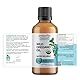 Oregavit Wasserlösliches Oregano-Öl – Hochdosiertes Bio-Oreganoöl wirkt immunstärkend und unterstützt deine Verdauung & Atemwege – Vegan, Glutenfrei, leicht zu mischen – 50 ml