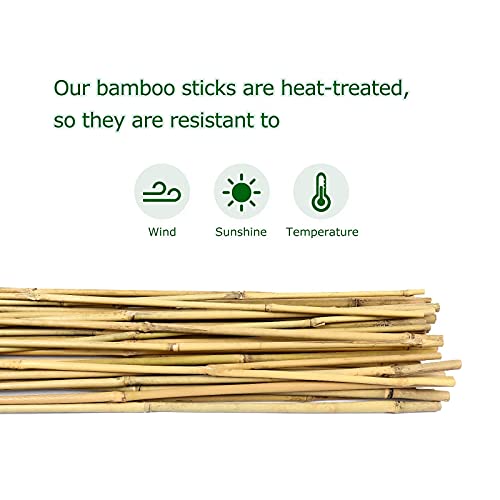 Cambaverd Bamboo Stakes 4ft Natural Plant Stakes for Tomatoes, Beans, Climbing Plants Support - 25 Pack Bamboo Sticks for Plants