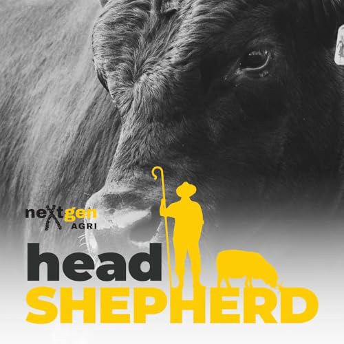 Growing More Grass and Turning It Into Growth with Bevan Ravenhill