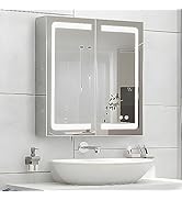 Amazon.com: Janboe Stainless Steel LED Medicine Cabinet,Bathroom
