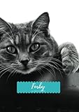  Furby: 110 Pages A4 SketchBook, Furby Thanksgiving Gifts, Christmas Journal/dairy.