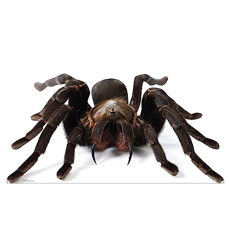 Image of Cardboard People Giant Tarantula Life Size Cardboard Cutout Standup - Made in USA