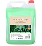 Intercabo - Bidon de 5 litres de shampooing à l'eucalyptus - Shampooing eucalyptus - Shampooing naturel - Cha...