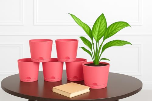 Image of Maxx Plast 5 Inch Self Watering Pots | Set of 5 Decorative Plastic Planters for Indoor & Outdoor Plants | Durable, Lightweight & Colorful Flower Pots - Just ₹299 (Pink)