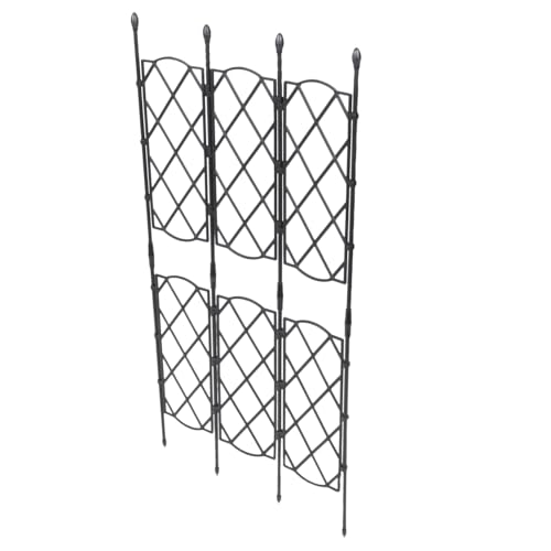 Sewroro |pAx OΉNC~OT|[gbN \ vX`bNR[eBO|ǐ ͑ω׏d N}`X o ACr