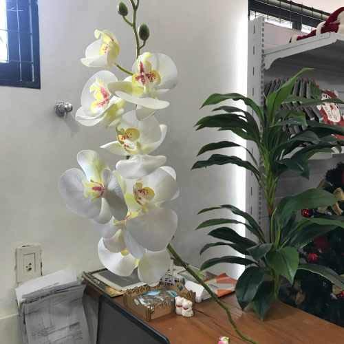 Galho Orquídea Toque Real 9 Flores Silicone Artificial