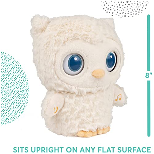 Gund Baby Sleepy Eyes Owl Bedtime Soother Plush Owl Stuffed Animal Night Light & Sound Machine For Baby Boys And Girls, 8” #TOP3