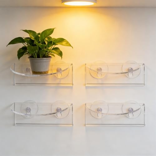 Supports en acrylique transparent de qualité supérieure avec ventouses robustes - 6