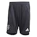 Produktbild adidas Herren DFB TR SHO Kurze Hosen, Carbon, XS