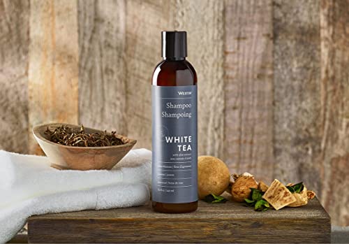 Westin Hotels - White Tea Aloe Shampoo - Vitamin and Antioxidant Shampoo for All Hair Types - Signature White Tea Aloe Scent - 240 ml