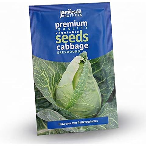 Jamieson Brothers Greyhound Cabbage Seeds Cover