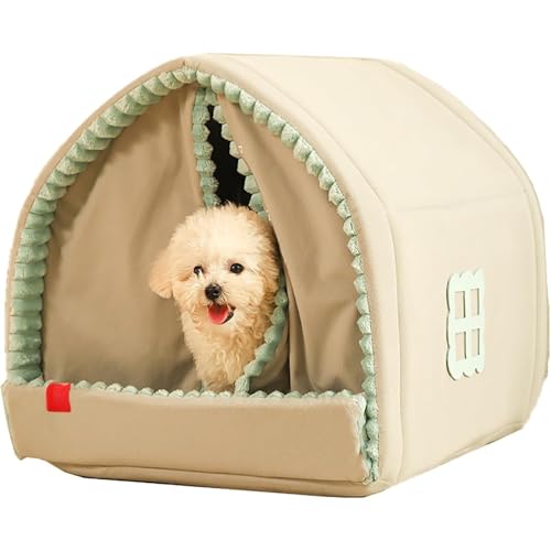 BIBAPU Lp h[^xbh ybgnEX  p ~p ӂӂ 􂦂 NbVt t ^ELp STCY g ۉ (S)