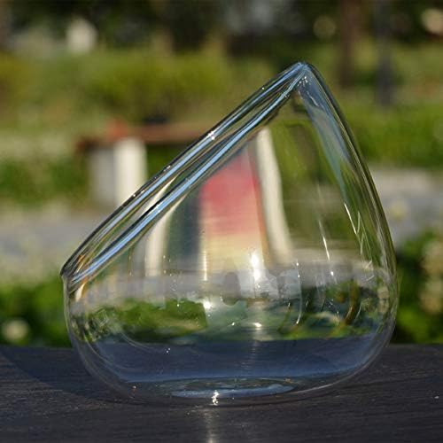 Hemoton Glass Slant Cut Bowl Clear Glass Vases Glass Round Slant Cut Bowl Terrarium Decorative Glass Bowl Slanted Globe Flower Vase