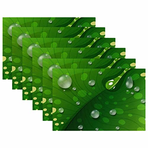 Sets de table gouttes d'eau sur feuilles vertes antidérapants 30x46 cm lot de 6
