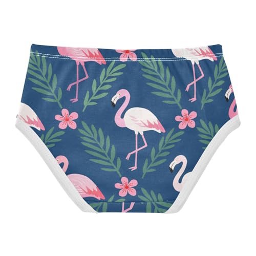 Briefs Panties Organic Underpants for Toddler Girls in Sizes 2T,3T, 4T, 5T, 6Y and 8Y2