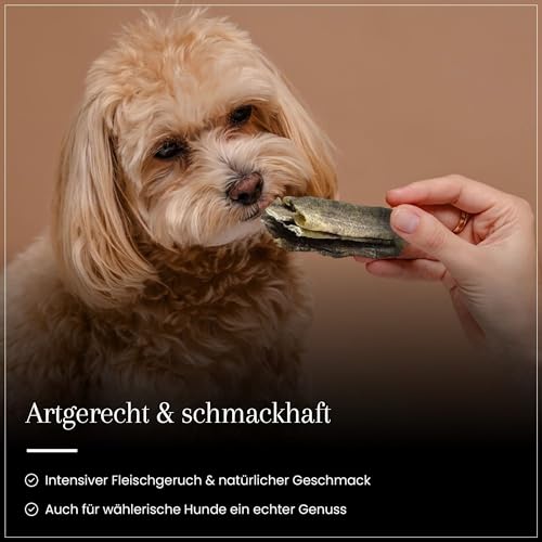 Dog Time Tiernahrung Pansen 1000g getrocknet I Gesunder Kausnack aus 100% Rind für Hunde I Hundeleckerli mit vielen wertvollen Vitaminen & ohne Zucker