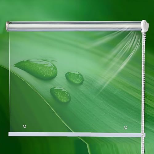 Persianas Enrollables Exterior PVC Claro Toldos Verticales Cortinas Enrollables Aislamiento Térmico Estor Enrollable Impermeable Transparente para Pérgola Fácil Instalación