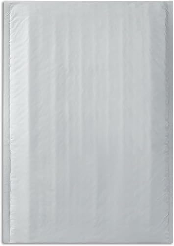 Staples 813198 - Sobres de burbujas de polietileno de 6 x 9 pulgadas, color blanco #0 25paquete (27273)