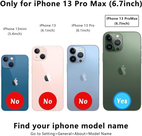 Étui portefeuille iPhone 13 Pro Max cuir compatible MagSafe noir